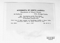 Image Associated With the Occurence